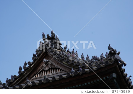神社、光子 神社、光子 87245989