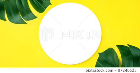 Banner of White blank round or circle frame on green leaves background.Empty text space for advertising, poster nature concept.Leaves on a yellow background and a white circle for text. Copy space. Banner of White blank round or circle frame on green leaves background.Empty text space for advertising, poster nature concept.Leaves on a yellow background and a white circle for text. Copy space. 87246525