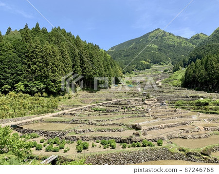 Rice terraces where rice planting has begun [Yotsuya Rice Terraces / Shinshiro City, Aichi Prefecture] 87246768