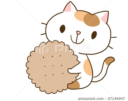 貓和餅乾 87246947