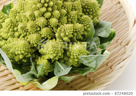 Romanesco 87248020