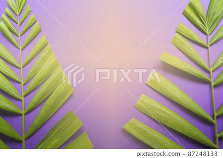 Palm leaves on purple background with light shape of cross. Lent season concept. Palm leaves on purple background with light shape of cross. Lent season concept. 87248133