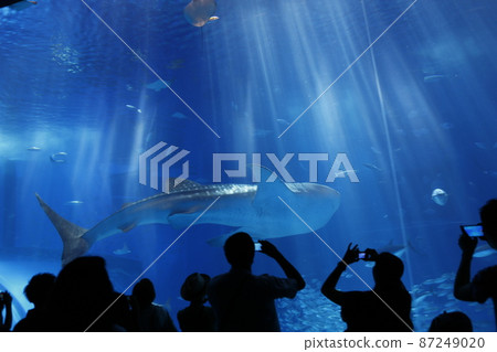 Aquarium Aquarium 87249020