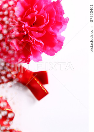 Carnation reflected in polka dots Carnation reflected in polka dots 87250461