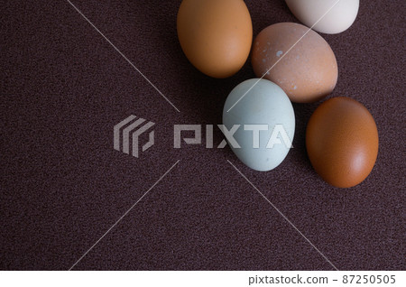 各種雞蛋 87250505