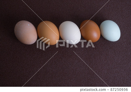 各種雞蛋 各種雞蛋 87250936
