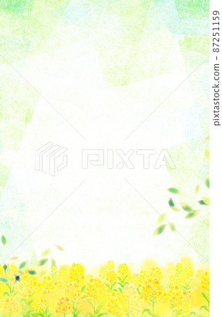 Rape field background material watercolor illustration 87251159