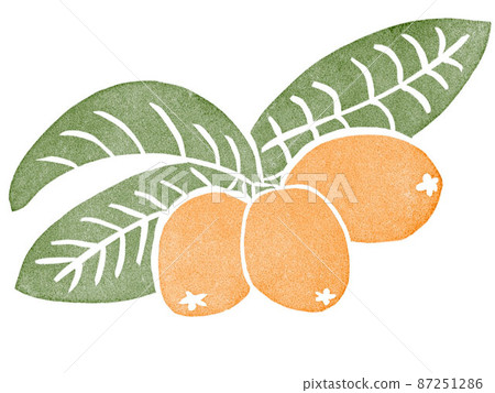 Loquat illustration stamp Loquat illustration stamp 87251286