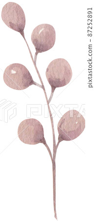 Pink flowers and feature watercolor boho style illustration. Watercolour Pink Beige floral isolated element png 87252891