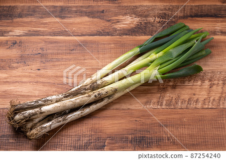 Green onion with soil 87254240