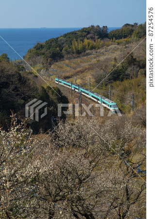 Sea, plum and 283 series limited express Kuroshio 87254576