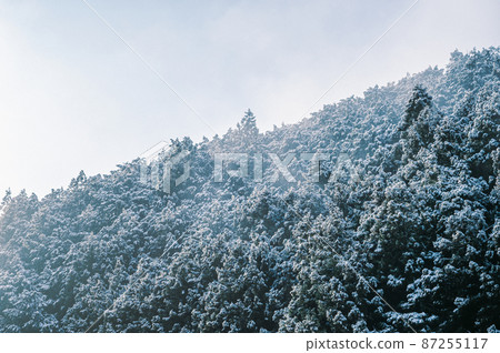 著名的草地雪景 87255117