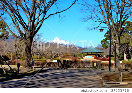 靜岡市城北公園的富士山 87255716