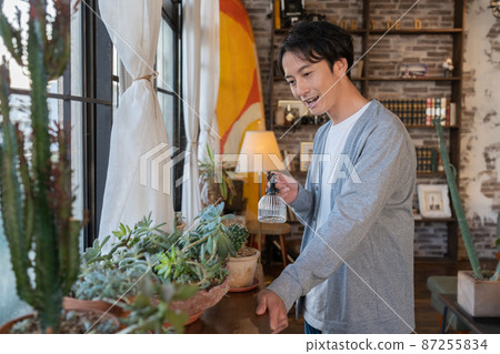 A young man spraying water on a cactus in the living room 87255834