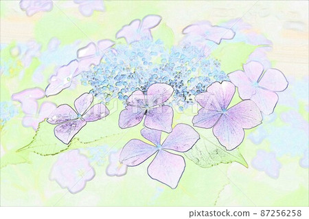 CG image Gaku Hydrangea 10 87256258