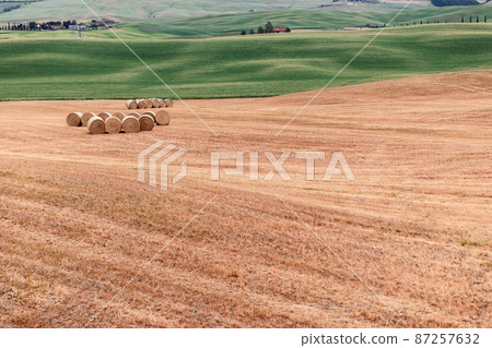 Tuscan multi panorama with haystacks in rolls in the meadows and a green meadow with fresh grass. Tuscan multi panorama with haystacks in rolls in the meadows and a green meadow with fresh grass. 87257632