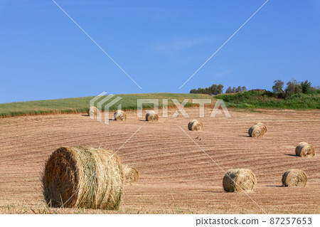 Bales of hay waiting to be transported from Tuscan hills to the farm for further processing. Italy Bales of hay waiting to be transported from Tuscan hills to the farm for further processing. Italy 87257653