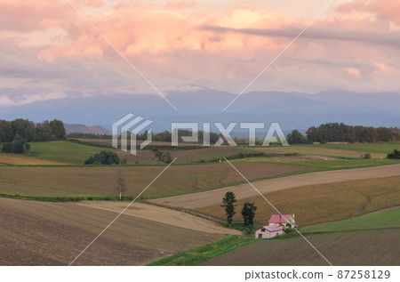 Biei, a farm area at sunset Biei, a farm area at sunset 87258129