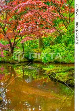 Japanese garden, Park Clingendael, The Hague, Netherlands Japanese garden, Park Clingendael, The Hague, Netherlands 87258154