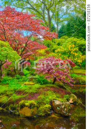 Japanese garden, Park Clingendael, The Hague, Netherlands Japanese garden, Park Clingendael, The Hague, Netherlands 87258156