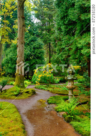 Japanese garden, Park Clingendael, The Hague, Netherlands 87258180