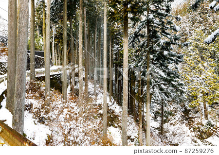 東京西多摩區檜原村的雪景 87259276