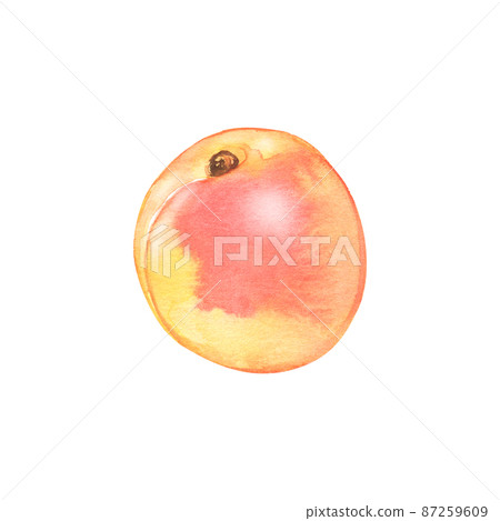 Watercolor apricot fruit. Hand drawn organic food. Element for logo, label and packaging design. 87259609