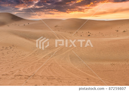 Dubai's Sahara Desert dunes landscape in the sunset 87259807