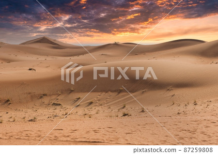 Dubai's Sahara Desert dunes landscape in the sunset Dubai's Sahara Desert dunes landscape in the sunset 87259808