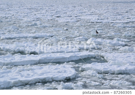 Abashiri's drift ice sea Hokkaido 87260305