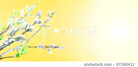 Spring border, spring blossom and April floral nature on yellow background. Branches of blossoming apricot macro with soft focus. For easter and spring greeting cards with copy space. Springtime. 87260412