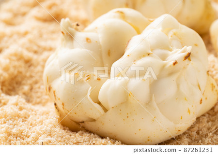 百合根 百合根 87261231