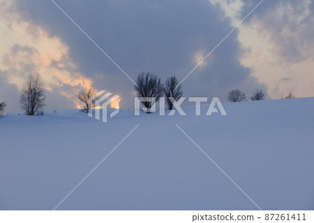 Biei dusk in winter Biei dusk in winter 87261411