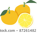 Rutaceae citrus, an illustration of a cross section of a citron with two leaves and a citron 87261482
