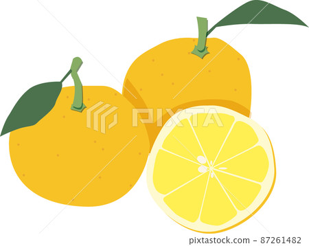 Rutaceae citrus, an illustration of a cross section of a citron with two leaves and a citron 87261482
