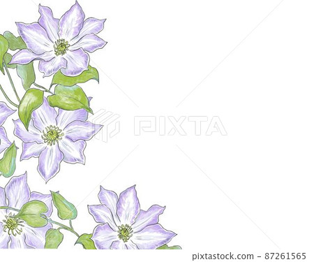 Summer blue flower clematis lower left frame 87261565
