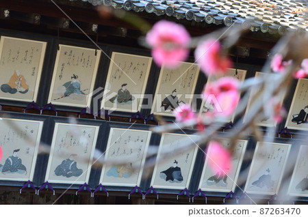 京都市北野天滿宮學三十六首紅梅 87263470