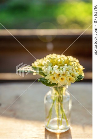 Easter concept. Bouquet of Primrose Primula with yellow flowers in glass vase under soft sunlight and blurred backdrop. Inspirational natural floral spring or summer blooming background. Copy space 87263766