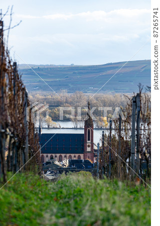 Church on vineyard with river 87265741