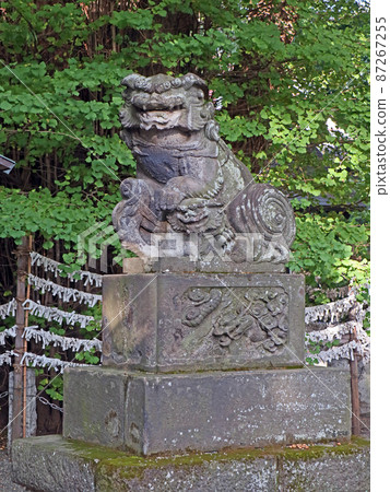 Kizuki Shrine (Musashino) 87267255