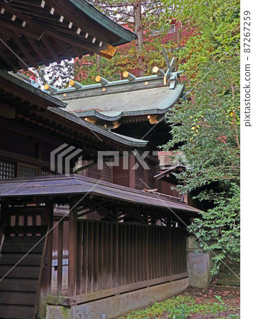 Kizuki Shrine (Musashino) 87267259