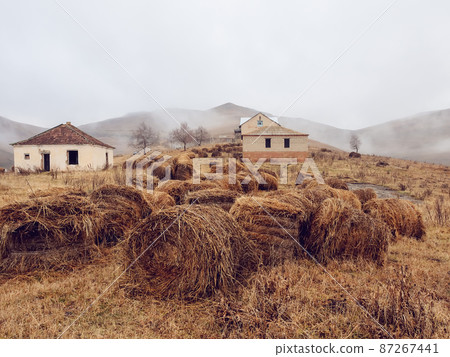 Alpine field with many haystacks located around old abandoned houses against the backdrop of mystical cloudy fog Alpine field with many haystacks located around old abandoned houses against the backdrop of mystical cloudy fog 87267441