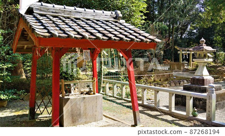 鹿兒島縣和泉市野田町熊野神社 87268194