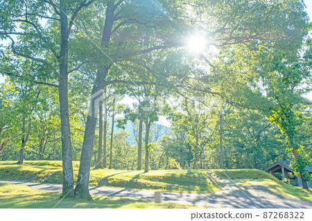 森林露營地，陽光的時刻（Hiruzen Plateau） 87268322