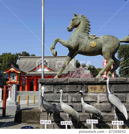 日本第一大鐘箱崎八幡宮,紅梅盛開時,鹿兒島縣和泉市 日本第一大鐘箱崎八幡宮,紅梅盛開時,鹿兒島縣和泉市 87268642