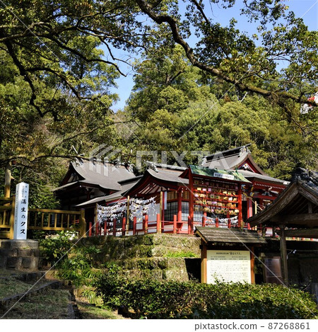 Gamo Hachiman Shrine Gamo's Okusu National Special Natural Monument Gamo Town Kagoshima Prefecture 87268861