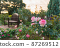 Dusk and rose flowers 87269512
