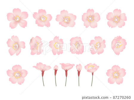 Vector illustration set of cherry blossom petals 87270260