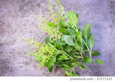 holy basil leaf herb and spices on wooden background, sweet basil leaves holy basil leaf herb and spices on wooden background, sweet basil leaves 87271325