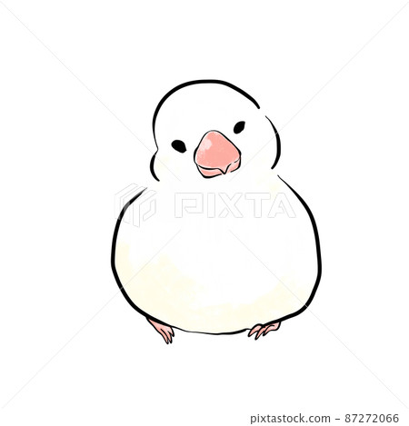 正面手繪白色爪哇麻雀 正面手繪白色爪哇麻雀 87272066